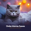 Música para gatos - Proudly Pretty