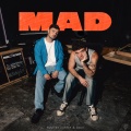 Martin Garrix、Lauv - MAD