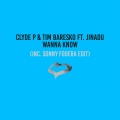 Wanna Know (feat. Jinadu) (Extended Mix)