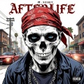 Jr.X、Xzibit - Afterlife (feat. Xzibit)(Explicit)