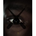 Question (Explicit)