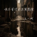 王一城 - 谁不曾付出过真感情