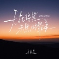 王巨星 - 天在将黑未黑时最美