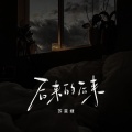 苏星婕 - 后来的后来