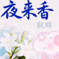 耿辉 - 夜来香