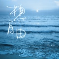 王安宇 - 想自由