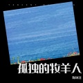 鞠琳洁 - 孤独的牧羊人 (Remix)