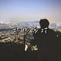 动物派对