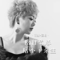 王娜 - 陪伴青春陪不了余生