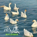 爱酱oz - 心愿