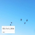 鞠琳洁 - 谁在为自己烦恼 (Live)