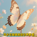 周细荣 - 萍乡花蝴蝶振翅世界飘香