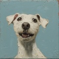 Music For Dogs、Dog Music Waves、Some Relaxing Music for Dogs - Sleep Dance