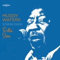 Muddy Waters - Baby Please Don't Go