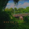 D - Bunny - Nào Em Có Hay