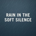 Rainy Nights for Deep Sleep、SLEEPY NUTS - Music for a good night's sleep