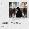 田园 - 这条路一个人撑