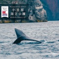 自然音 - ザトウクジラのソング 2025 PART2 ステレオ録音