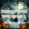 akaprecto、MC GW、FLUXO DE RUA MUSIC - Bruxaria Malvada Trava Windows 11