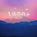 刘家奇阿 - 飞往你的山