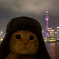 哈基米 - 不再曼波