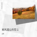 孟帆 - 被风遗忘的誓言