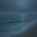 10 PM Wellness: Driftwood Memories
