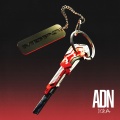 ADN (Explicit)