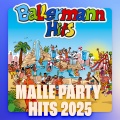 Malle Party Hits 2025 (Explicit)