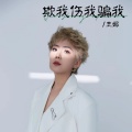 王娜 - 欺我伤我骗我