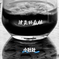 小壮壮 - 建炎的森林