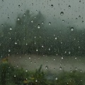 忘想 - 其实雨也没多大