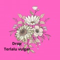 Squares - Drop terlalu vulgar
