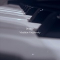 Vladislav Vrublevsky - Despair
