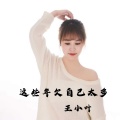 王小叶 - 这些年欠自己太多