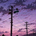 二哲 - The Nights