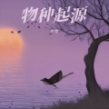 半卷 - 宪法