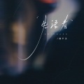 摇不正 - 失语者