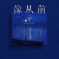卢润泽 - 像从前