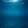 Seascapers、Underwater Sound、Sea Waves Sounds - Peaceful Nights