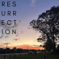 Resurrection - FURRY