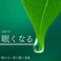 5分で寝落ちする睡眠導入BGM、SLEEPY NUTS - 眠りをサポートするリラックスα波BGM 3分で寝落ち 睡眠の質向上