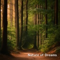 Nature sounds for deep sleep、SLEEPY NUTS - Enchantment