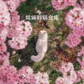 嫦婳 - 同花顺