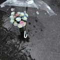 你像一场大雨