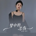 无名姐（路宝） - 梦中的悲伤