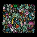 Tambour Battant - Satisfy