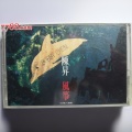 孟大宝 - 风筝