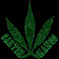 carter、mango - 瓜娃子