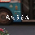 余火火、顾墨迹 - 风儿多自在